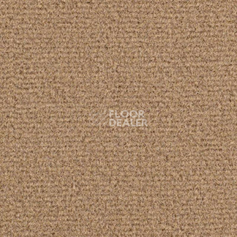 Ковролин Balsan Residentiel 770 фото 1 | FLOORDEALER