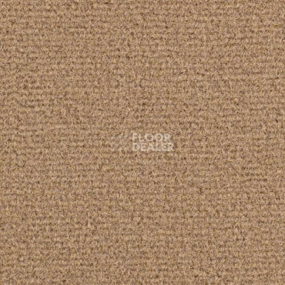 Ковролин Balsan Residentiel 770 фото 1 | FLOORDEALER