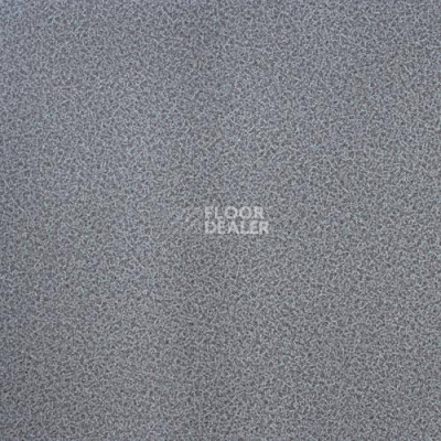 Линолеум Lg Calmpasso CP 93509 фото 1 | FLOORDEALER