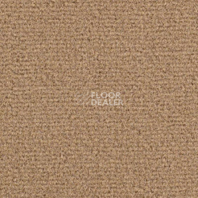 Ковролин Balsan Residentiel 770 фото 1 | FLOORDEALER