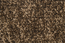 Imperfection Коллекция Grit Grit 733 фото 5 | FLOORDEALER