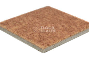 Forbo Flotex Colour s 482019 Penang Ginger фото 3 | FLOORDEALER