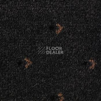 Ковролин Pullman Associated Weavers 98 фото 1 | FLOORDEALER