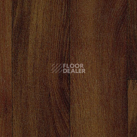 Линолеум Tarkett Acczent Pro Tobago 5 фото 1 | FLOORDEALER
