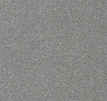 Ковролин Vorwerk Passion 1006 Vorwerk 5v46 фото 1 | FLOORDEALER