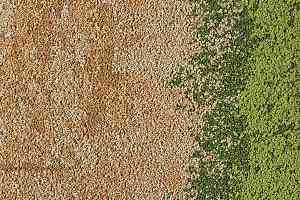 Ковровая плитка Interface Urban Retreat One 101/102/103 ur 101 327112 Straw / Grass фото  | FLOORDEALER