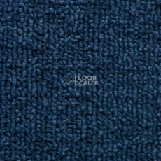 Ковролин Sintelon Horizon 47703 фото 1 | FLOORDEALER