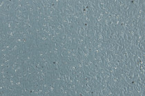 Forbo SureStep Laguna 181662 reef green фото 3 | FLOORDEALER