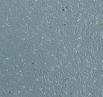 Forbo SureStep Laguna 181662 reef green фото 3 | FLOORDEALER