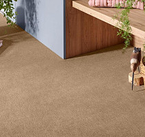 Vorwerk Superior 1072/Nutria Comfort Vorwerk 7g67 фото 2 | FLOORDEALER