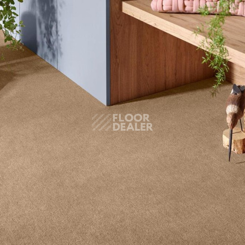 Vorwerk Superior 1072/Nutria Comfort Vorwerk 7g67 фото 2 | FLOORDEALER