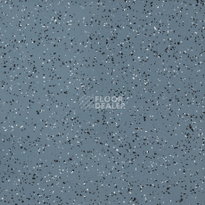 Линолеум Tarkett iq Era sc 806 фото 1 | FLOORDEALER