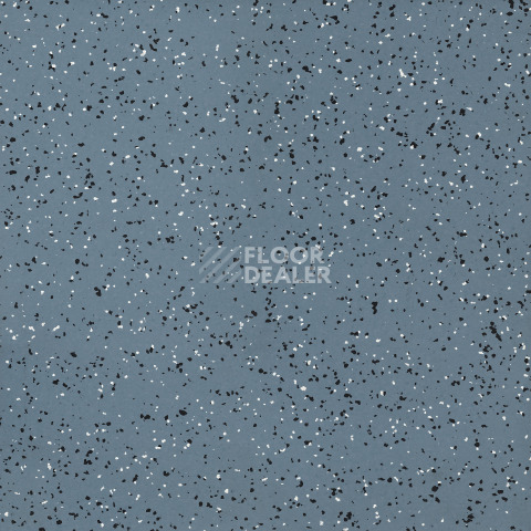 Линолеум Tarkett iq Era sc 806 фото 1 | FLOORDEALER