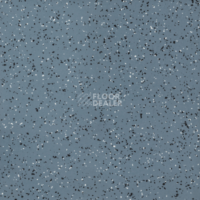 Линолеум Tarkett iq Era sc 806 фото 1 | FLOORDEALER