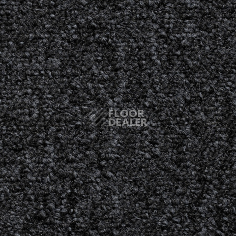 Ковролин Condor Solid 377 фото 1 | FLOORDEALER