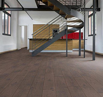 My Floor Cottage 8мм mv807 Дуб Атласный фото 6 | FLOORDEALER