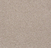 Ковролин Shaw Design Texture Platinum 123 фото 1 | FLOORDEALER