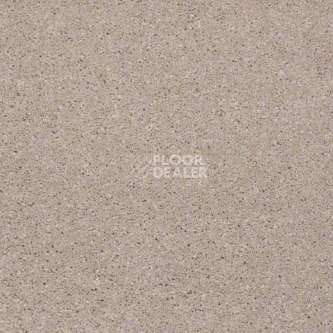 Ковролин Shaw Design Texture Platinum 123 фото 1 | FLOORDEALER