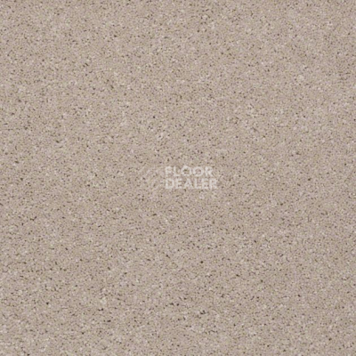 Ковролин Shaw Design Texture Platinum 123 фото 1 | FLOORDEALER