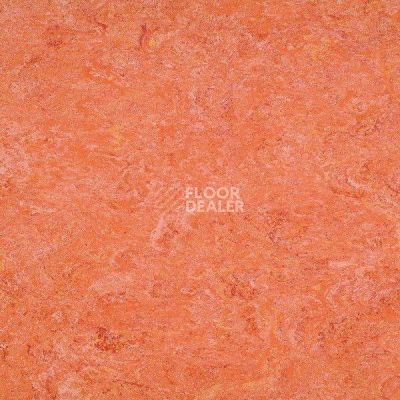 Линолеум Marmorette DLW 2.5mm 121-019 фото 1 | FLOORDEALER