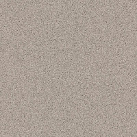 Линолеум Tarkett Primo Plus Depot Primo 313 фото 1 | FLOORDEALER