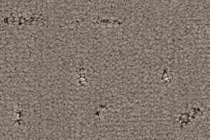 Ковролин Balsan Elite 730 фото  | FLOORDEALER