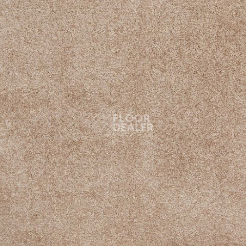 Ковролин Big Bernini 338 фото 1 | FLOORDEALER