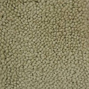 Ковролин Condor Carpets Marriott 176  | FLOORDEALER