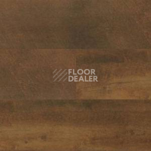 Линолеум Polyflor Expona Wood 6144 фото 1 | FLOORDEALER