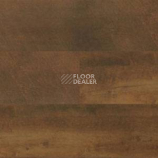 Линолеум Polyflor Expona Wood 6144 фото 1 | FLOORDEALER