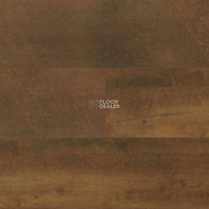 Polyflor Expona Wood 6144 фото 1 | FLOORDEALER