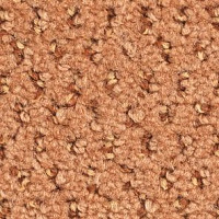 Ковролин Balsan Balmoral Balmoral 453 фото 1 | FLOORDEALER