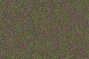 Ковролин Flotex Vision Floral 500011 (Field) Juniper фото  | FLOORDEALER