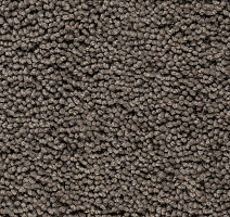 Ковролин Best Wool Pure Palace Lux 192 фото 1 | FLOORDEALER