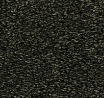 Ковролин Edel Wild Romance 284 фото 1 | FLOORDEALER