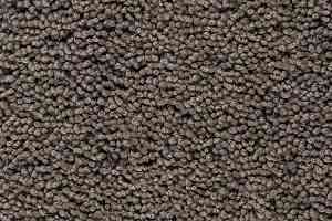 Ковролин Best Wool Pure Palace Lux 192 фото  | FLOORDEALER