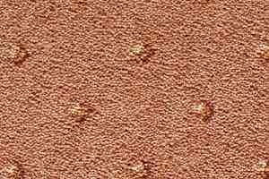 Ковролин Condor Carpets Asia 226 фото  | FLOORDEALER