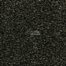 Ковролин Edel Wild Romance 284 фото 1 | FLOORDEALER