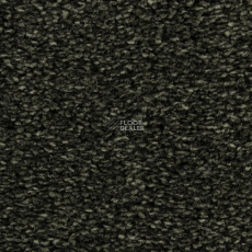 Edel Wild Romance 284 фото 1 | FLOORDEALER