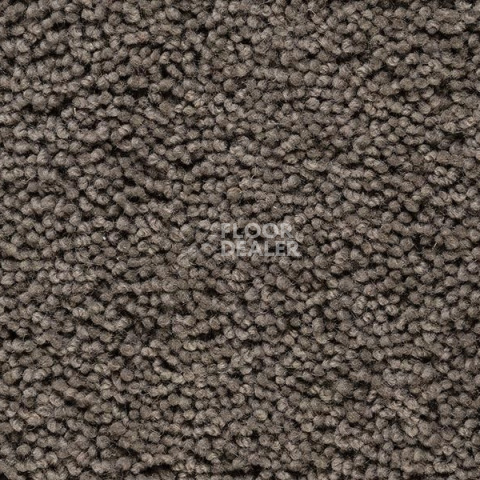 Ковролин Best Wool Pure Palace Lux 192 фото 1 | FLOORDEALER