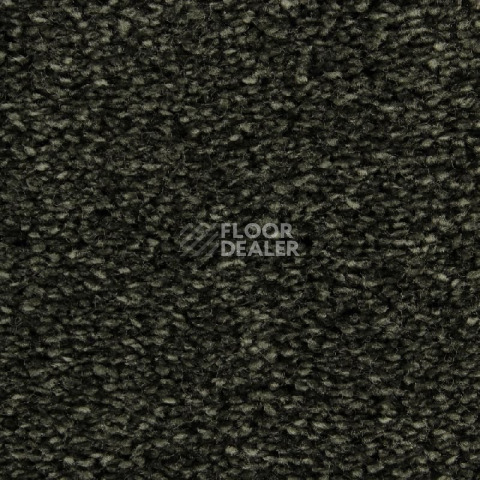 Ковролин Edel Wild Romance 284 фото 1 | FLOORDEALER