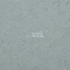 Линолеум Gerflor Marmorette DLW  2mm 0055 Ash Grey фото 1 | FLOORDEALER
