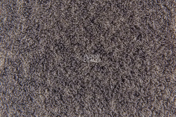 Flotex Colour Penang p 982020 Penang Shale фото 3 | FLOORDEALER