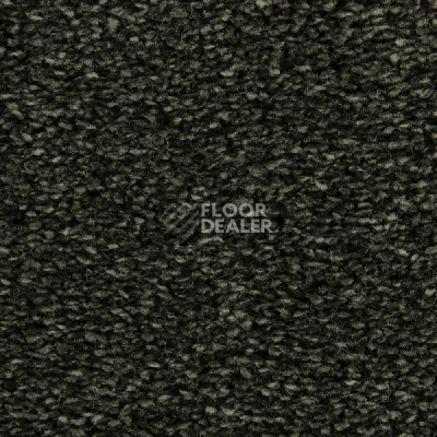 Ковролин Edel Wild Romance 284 фото 1 | FLOORDEALER