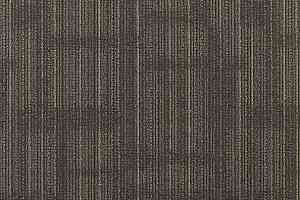 Ковровая плитка Shaw Transparent 62500 фото  | FLOORDEALER