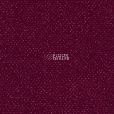 Ковролин Sintelon Orion 77639 фото 1 | FLOORDEALER