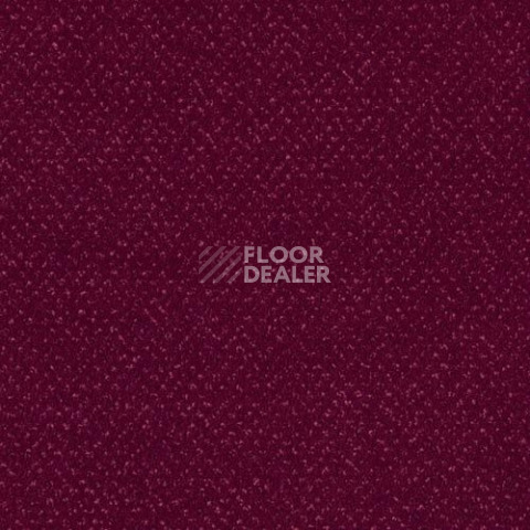 Ковролин Sintelon Orion 77639 фото 1 | FLOORDEALER