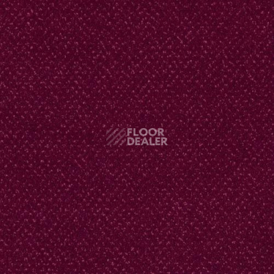 Ковролин Sintelon Orion 77639 фото 1 | FLOORDEALER