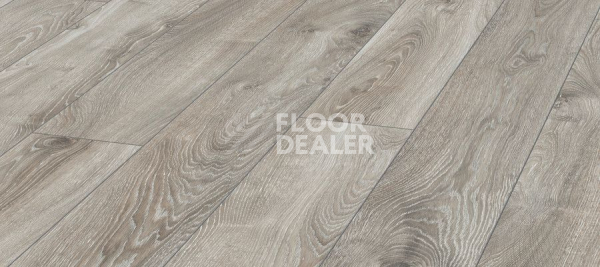 Ламинат Kronotex Mammut Plus d4797 Дуб Горный Серебристый фото 1 | FLOORDEALER