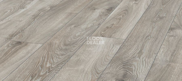 Ламинат Kronotex Mammut Plus d4797 Дуб Горный Серебристый фото 1 | FLOORDEALER